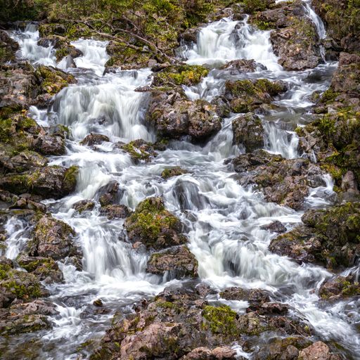 A close-up shot of a cascading waterfall surrounded by lush green trees and moss-covered rocks