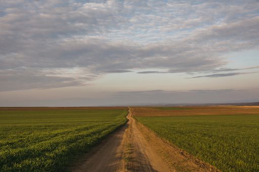 A path in green field under cloudy sky