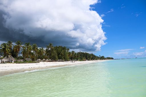 The sea surrounded by the beach covered in greenery under the sunlight and a cloudy sky