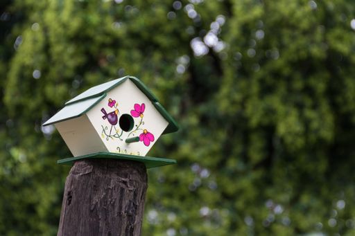handmade houses for birds hand painted on the tree trunk in spring