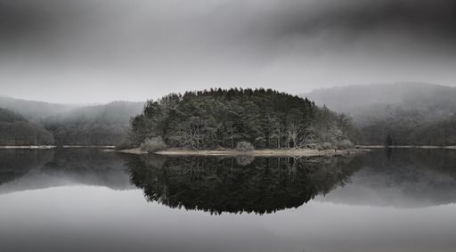 A panoramic beautiful view of the misty and creepy park with a lake surrounded by trees