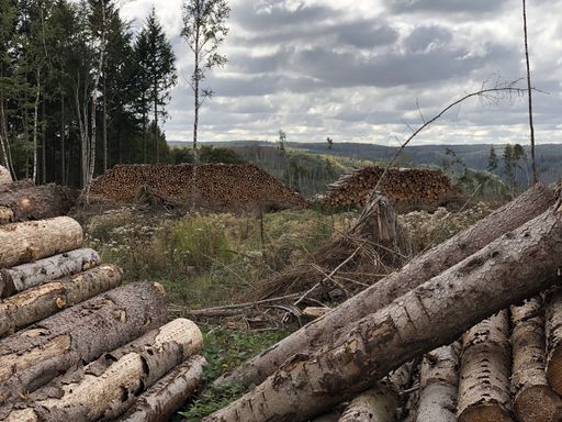 A selective focus shot of stacked woodlogs in a mountainous area