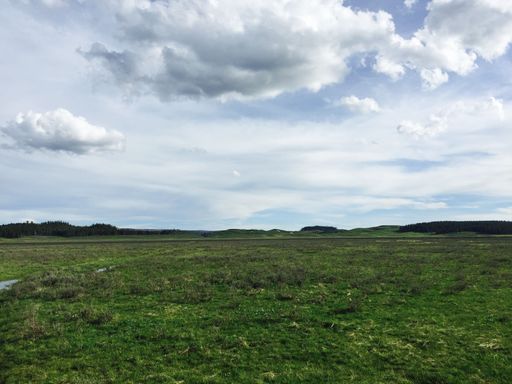 A stunning view of a prairie landscape with a mountain range in the background