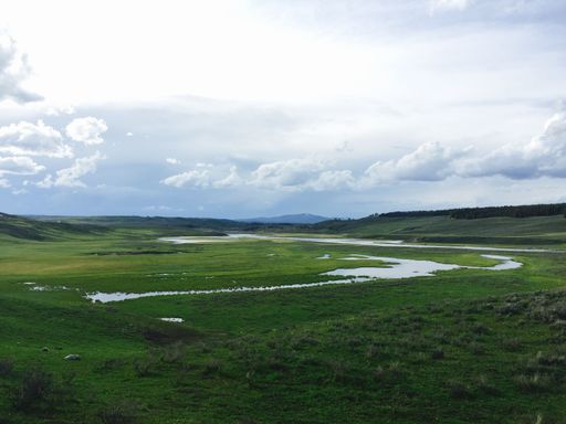 A tranquil river winds its way through a lush, green meadow, surrounded by fields of vibrant grass