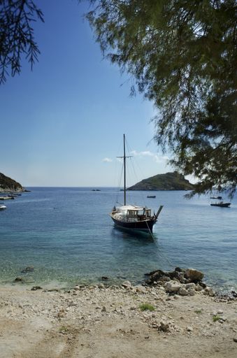 A vertical shot of a boat near the seashore with trees in the foreground