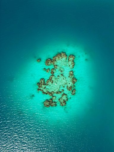 This stunning image shows the crystal clear waters of a Caribbean Bermuda ocean reef
