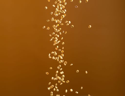 A closeup of pouring lentils on an orange background