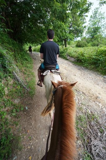 A vertical shot of a male riding a horse on a pathway in the middle of trees in the Dominican Republic
