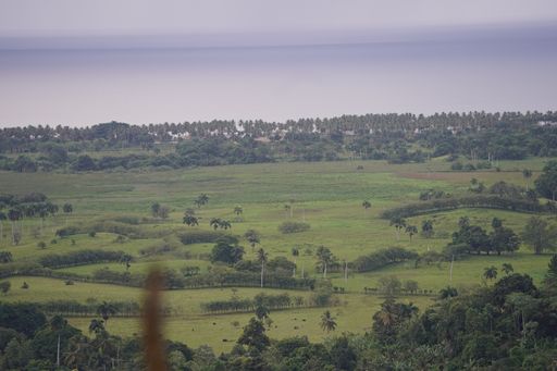 An ariel shot of grassy field with trees at the Dominican Republic