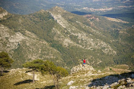 A male hiker on a rock on top of a hill enjoying the view