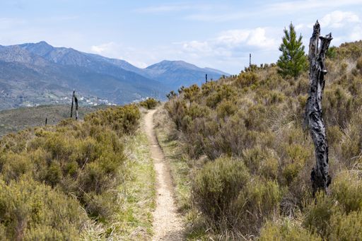 A narrow road running along hills with thick bushes and mountains in the distance