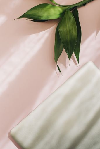 A top view shot of a pink surface, a laptop on it, and green plant leaves