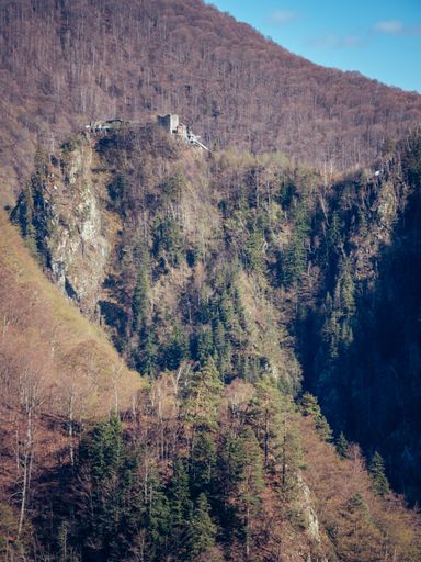 A majestic white castle stands atop a hill, surrounded by lush green foliage