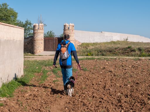 A hiker with a backpack walking his dog