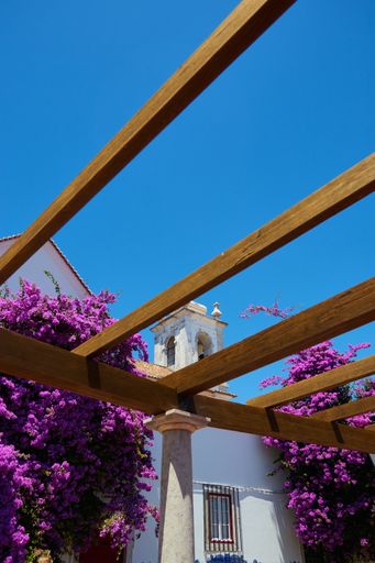 A low angle shot of a classical building in lisbon, portugal with purple flowers and a clear blue sky in the background