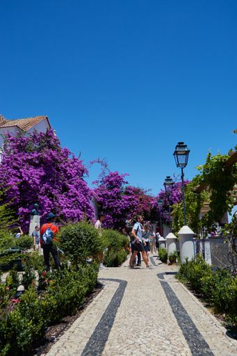Vertical shot on a roof top terrace in Lisbon Portugal with gorgeous bright purple blossom tree with tourists exploring