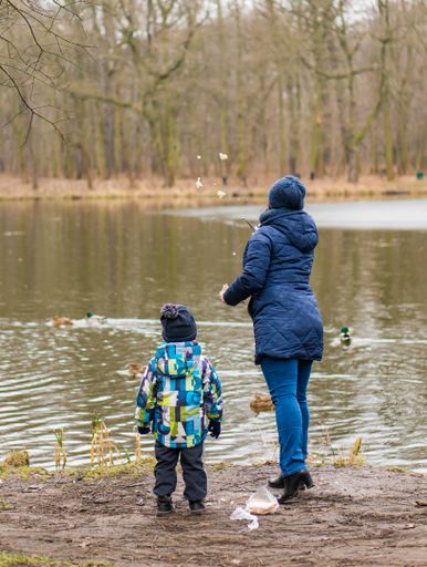 Woman and child feeding ducks with bread by a pond in a forest on a cold winter day