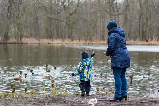 Adult woman and toddler boy throwing bread at ducks on a pond by a forest on a cold winter day