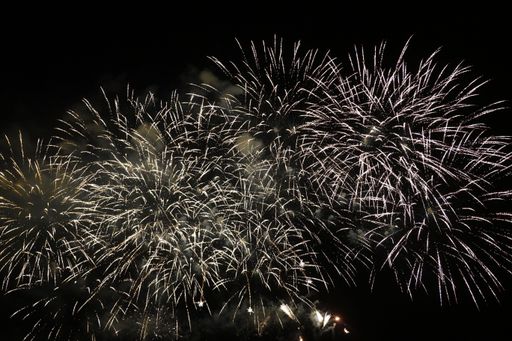 A captivating nocturnal view of dazzling fireworks illuminating the sky during Bastille Day celebration