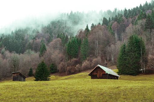 A field with two wooden barns surrounded by forests covered in fog under the cloudy sky