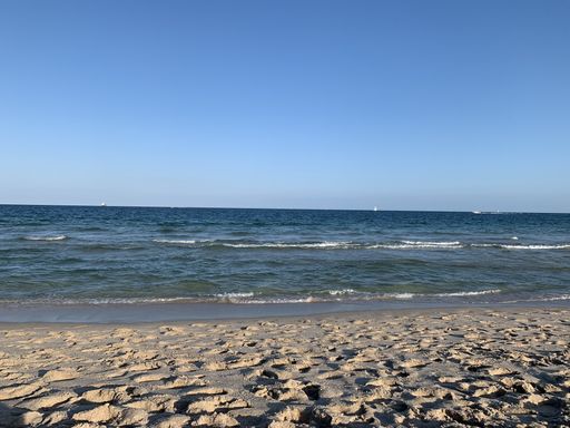 A beautiful shot of waves on the shore on a sunny day