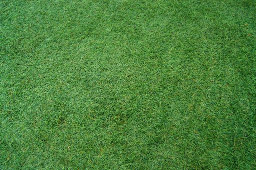 The green synthetic grass backdrop. Football field, park lawn.