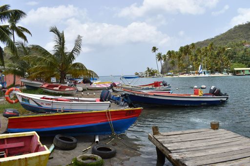 Numerous boats moored near a tropical beach with a swaying palm tree in the backdrop