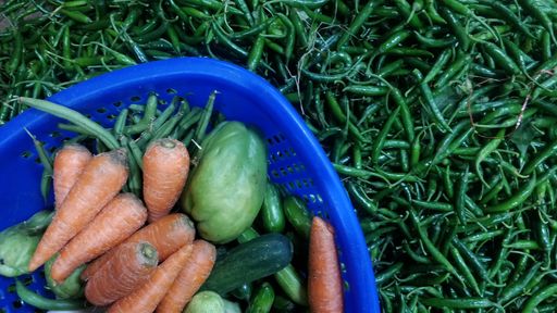 A high angle closeup shot of fresh vegetables in a blue plastic bowl