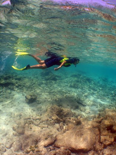 The scuba diver swimming near the surface of the beautiful ocean