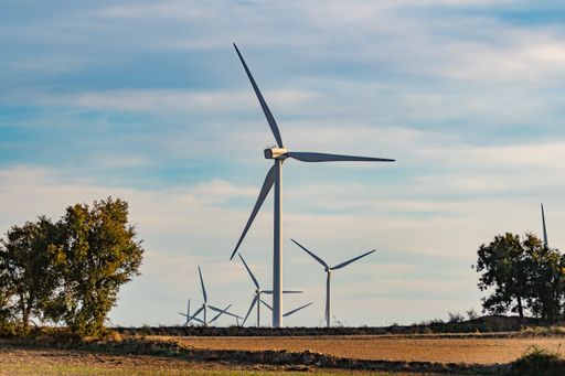 A wind turbine farm in the middle of crop fields, wind turbines at different distances