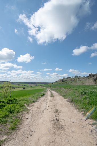 A vertical shot of a gravel road surrounded by grass-covered meadows on a sunny day