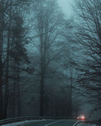 A vertical shot of a car in a dark and creep road surrounded by tall trees in foggy weather
