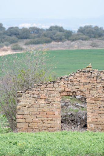 A front view of an abandoned old farmer's hut made of stone