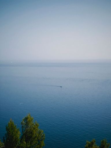 A solitary vessel sailing serenely across an ocean backdrop, with pine trees silhouetted against a brilliant blue sky
