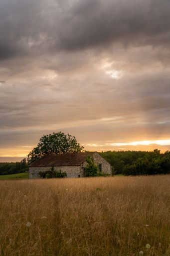 An old barn stands in a field, surrounded by tall grass swaying in the wind
