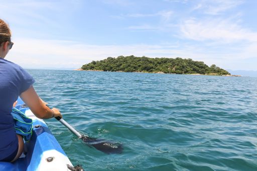 A woman riding a kayak in the sea with an island covered in greenery on the background