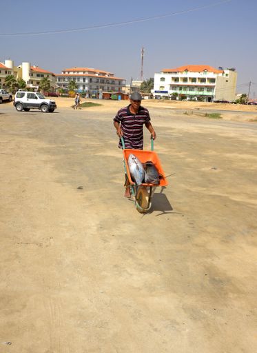 A man transports in a wheelbarrow two large fish purchased at the fish market in Santa Maria, Cape Verde. Sun, sand, blue sky, people, buildings.