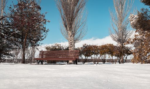 A lonely bench in the park covered with snow in sunny weather