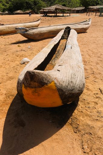 A vertical picture of wooden handmade canoes on the beach surrounded by greenery under the sunlight