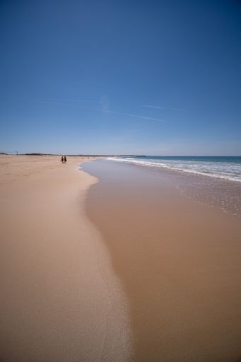 A vertical shot of fine sandy shore under blue sky - perfect for wallpaper or background