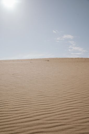 A vertical shot of sand dunes in a desert
