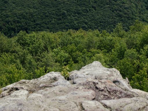 A scenic view of a rocky cliff of a mountain in Dolly Sods, West Virginia