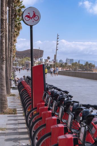 Row of red rental bikes in the Barcelonetta, Sapin