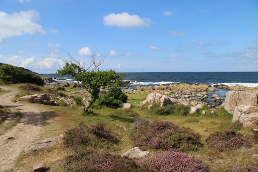 A beautiful view of a seashore in bornholm, denmark with a cloudy blue sky in the background