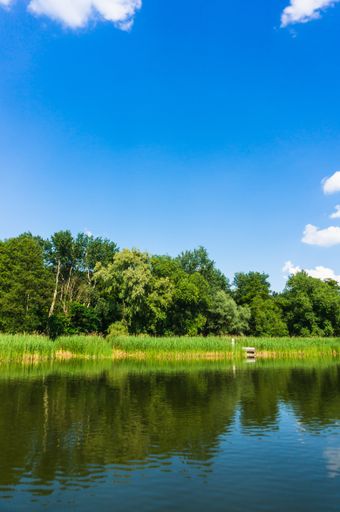 A vertical shot of trees reflected on a tranquil river under a cloudy sky in Kornik, Poland