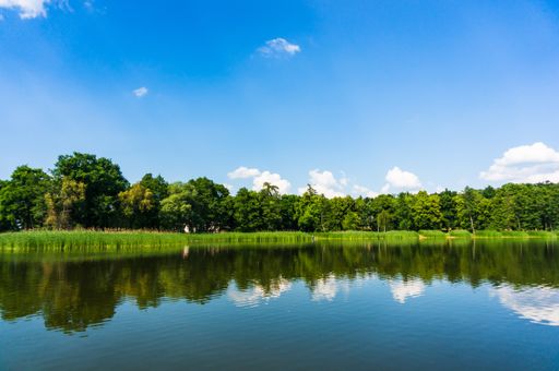 A scenic view of trees reflected on a tranquil river under a cloudy sky in Kornik, Poland