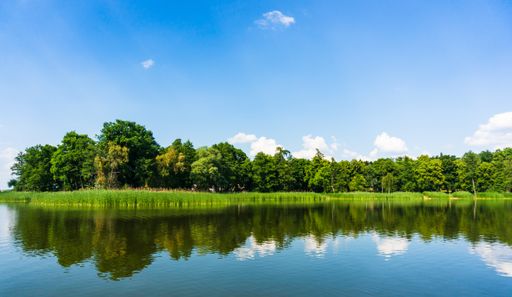 A scenic view of trees reflected on a tranquil river under a cloudy sky in Kornik, Poland