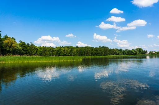 A scenic view of trees reflected on a tranquil river under a cloudy sky in Kornik, Poland