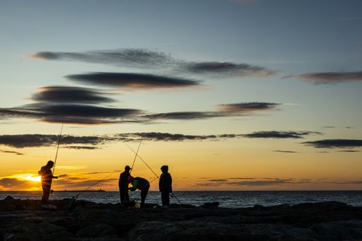 A closeup shot of silhouettes of people fishing on the seashore at sunset