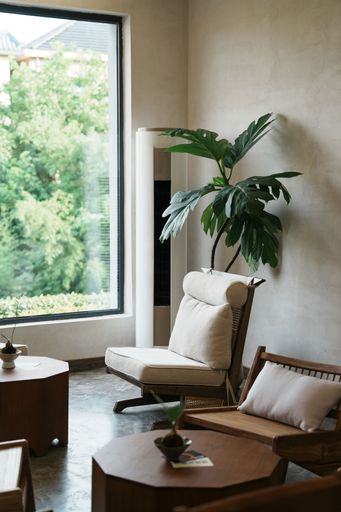 The interior of a cozy room with seats and plants near a window